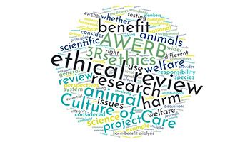 Ethical review .